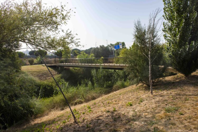 Parque verde de Leiria: níveis de poluição “preocupantes” no rio Lena