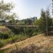 Parque verde de Leiria: níveis de poluição “preocupantes” no rio Lena