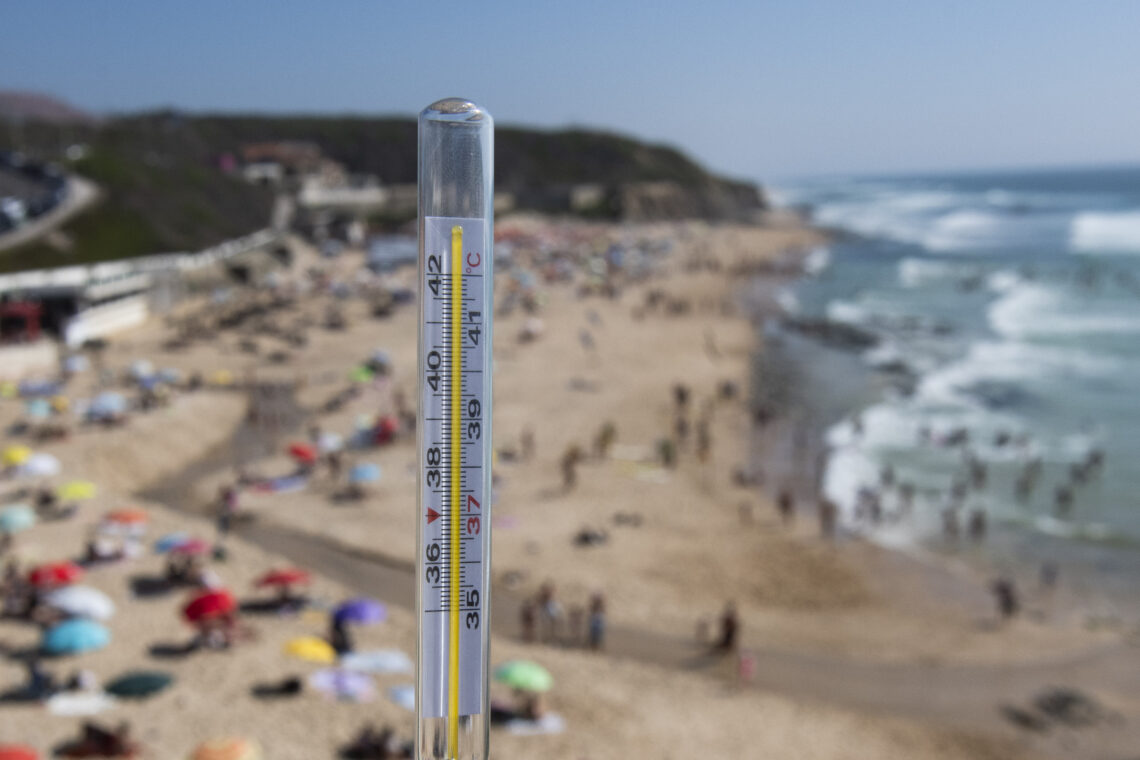 Temperaturas altas e tempo seco elevam perigo de incêndio ao máximo
