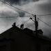 Cerca de 40,3% das candidaturas ao apoio à reconstrução de habitações recusadas em Leiria