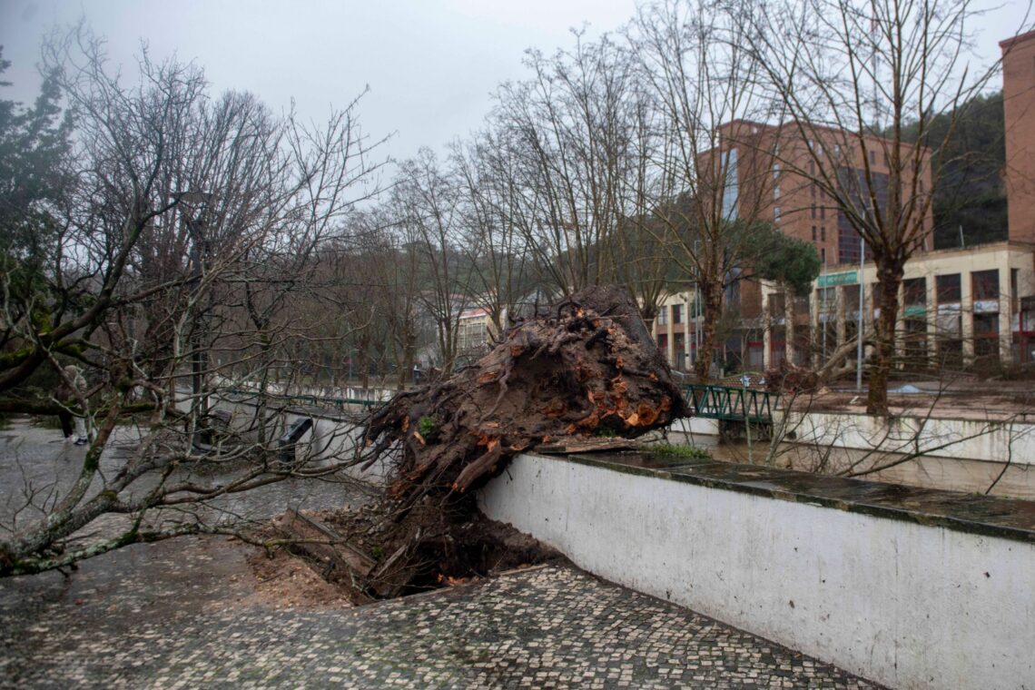 Leiria convida voluntários a ajudarem a limpar a cidade