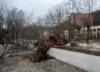 Leiria convida voluntários a ajudarem a limpar a cidade