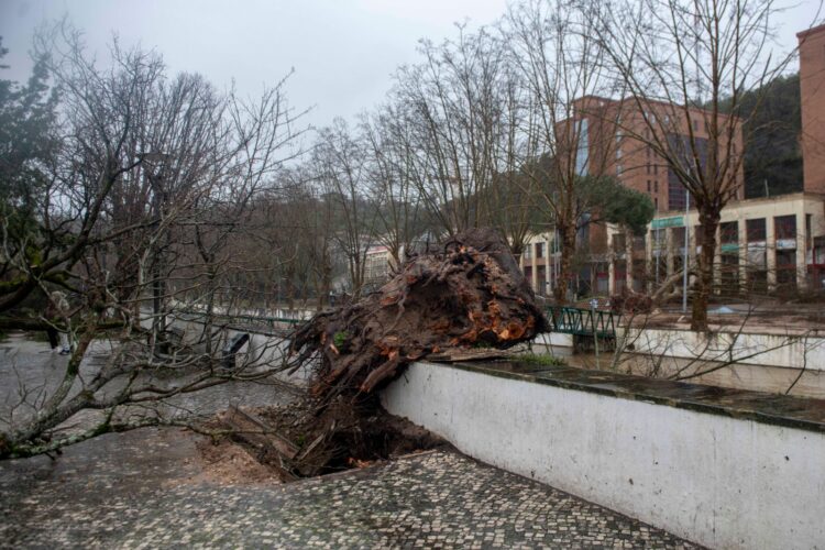 Leiria convida voluntários a ajudarem a limpar a cidade