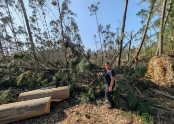 Meirinhas soma 300 mil euros de prejuízos da Kristin e ainda não recebeu qualquer verba