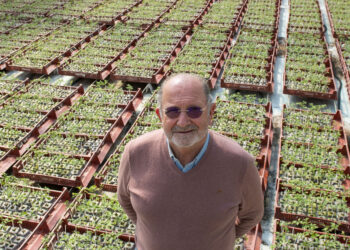 Germiplanta é finalista dos Prémios Heróis PME