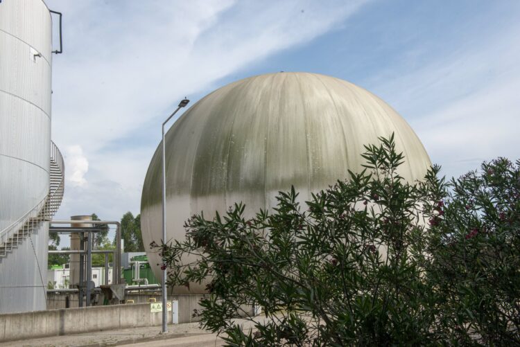 Região aposta na produção de gás verde e energia a partir de efluentes e lixo