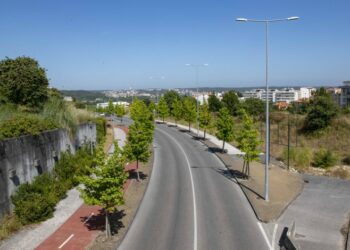 Após trabalhos de arqueologia, arranca obra do parque Papa Francisco