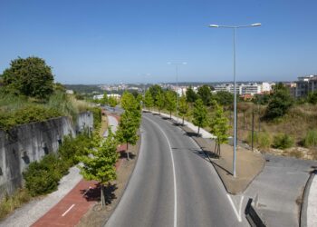 Arqueologia adia estacionamento na avenida Papa Francisco, em Leiria