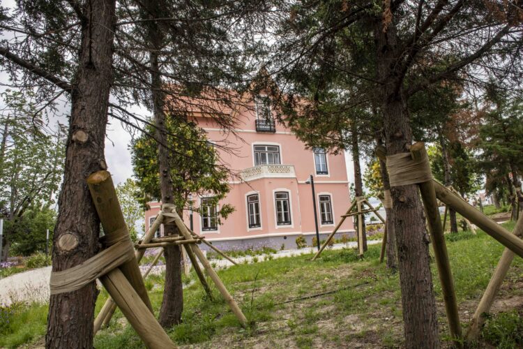 Kristin: Castelo, Villa Portela e BAG reabrem após obras de recuperação