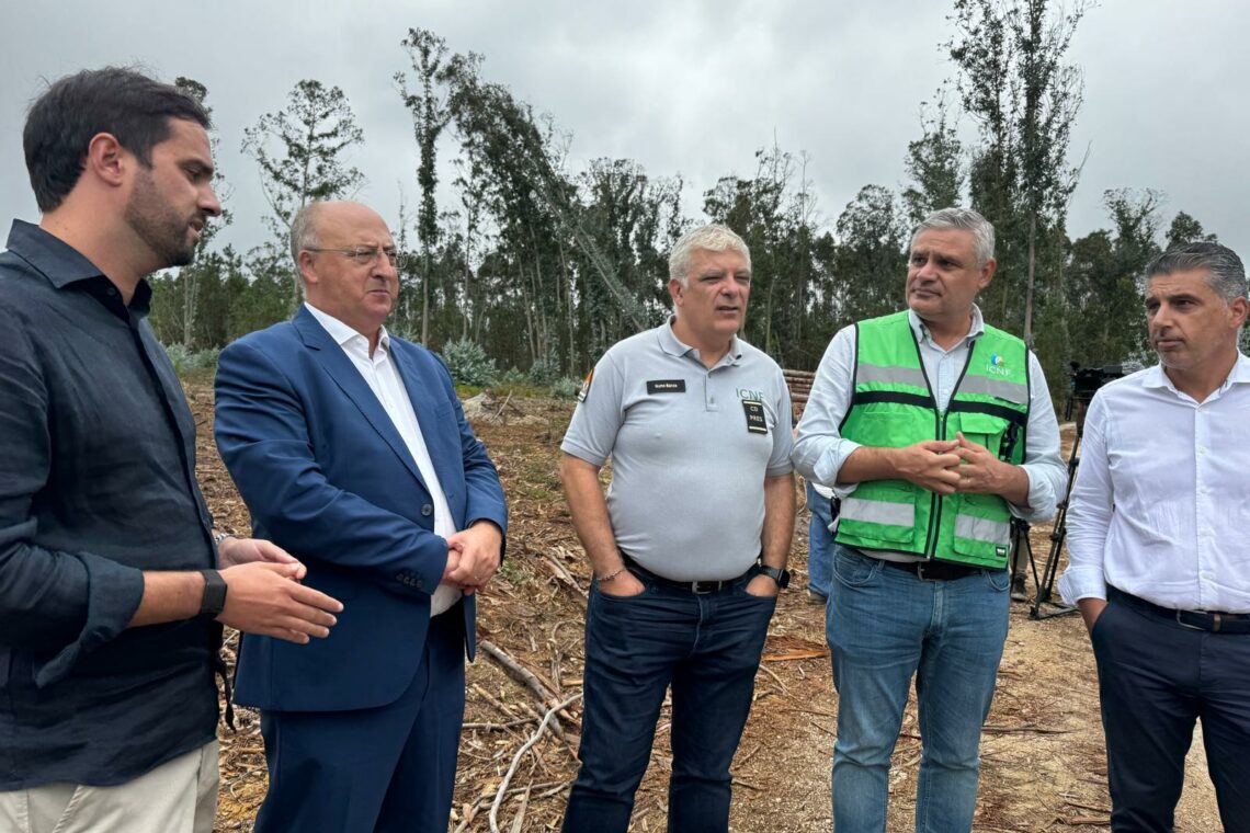Concelho de Leiria recebe 9,2 ME de apoio para remover material lenhoso