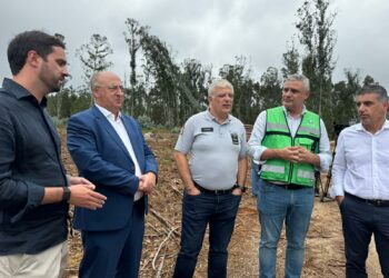 Concelho de Leiria recebe 9,2 ME de apoio para remover material lenhoso