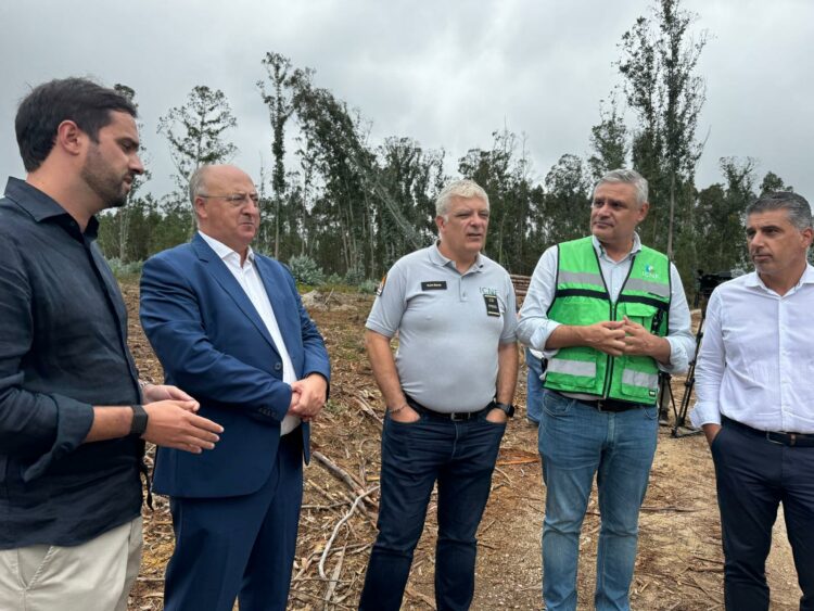 Concelho de Leiria recebe 9,2 ME de apoio para remover material lenhoso