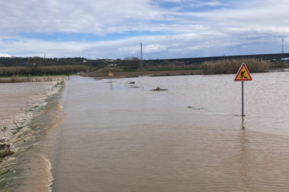 Quedas de árvores, vias cortadas e espaços interditos resultam da passagem do Joseph em Leiria