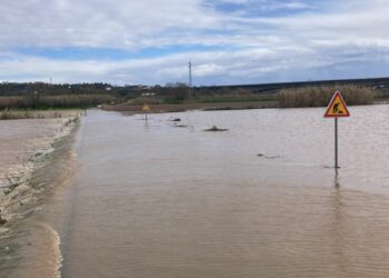 Quedas de árvores, vias cortadas e espaços interditos resultam da passagem do Joseph em Leiria