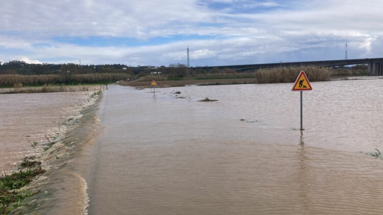 Quedas de árvores, vias cortadas e espaços interditos resultam da passagem do Joseph em Leiria