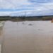 Quedas de árvores, vias cortadas e espaços interditos resultam da passagem do Joseph em Leiria
