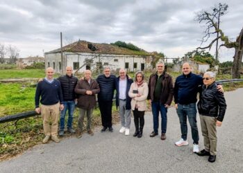 Em Pedreanes, seis hectares vão transformar-se na Casa das Selecções de atletismo