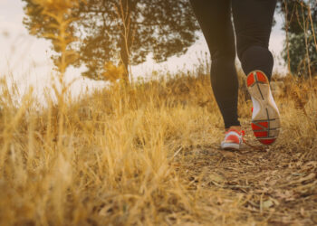 Trail Trilhos da Mata a 25 de Janeiro