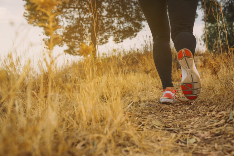 Trail Trilhos da Mata a 25 de Janeiro