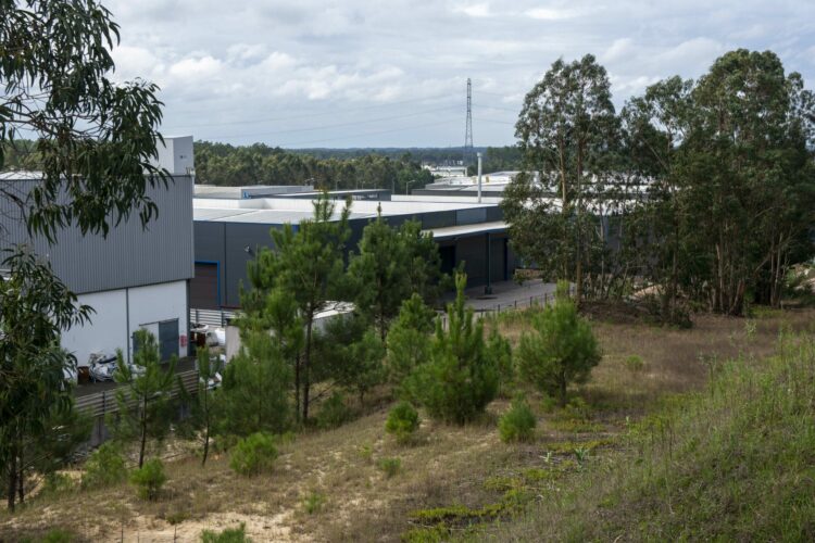 Associação de Industriais de Pombal reforça digitalização das empresas no período pós-Kristin