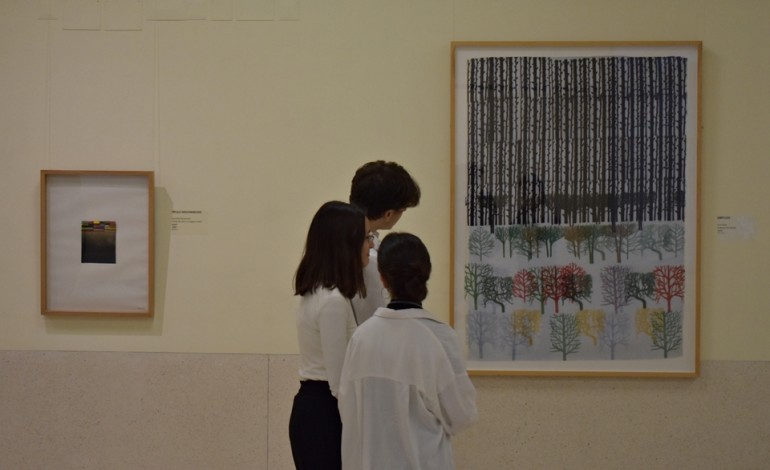 Exposições, residências e a cultura democratizada: o Plano Nacional das Artes nas escolas