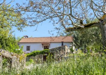 Aldeia do Vale dá vida a antigas eiras com música e dança