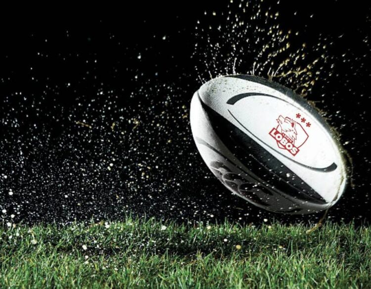 Os Lobos e Caldas avançam com equipas conjuntas no campeonato nacional de rugby