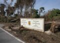 Parque das Merendas vai ser recuperado
