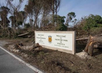 Parque das Merendas vai ser recuperado