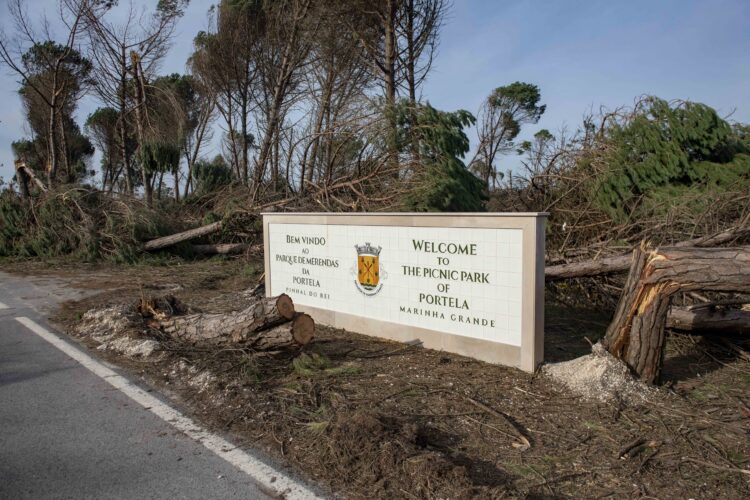 Parque das Merendas vai ser recuperado