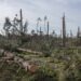 Proprietários florestais de Leiria têm até 30 de Setembro  para pedir apoio de 1.500 euros por hectare