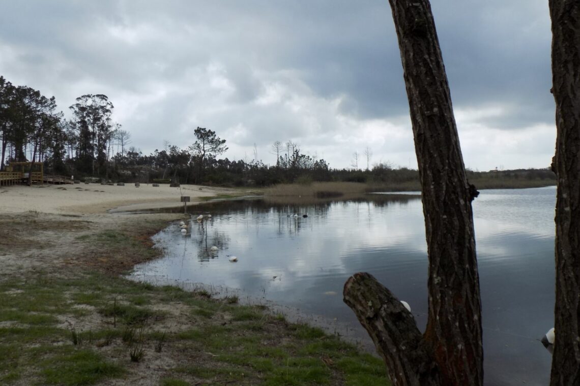Lagoa da Ervedeira (Concelho de Leiria) Março de 2021