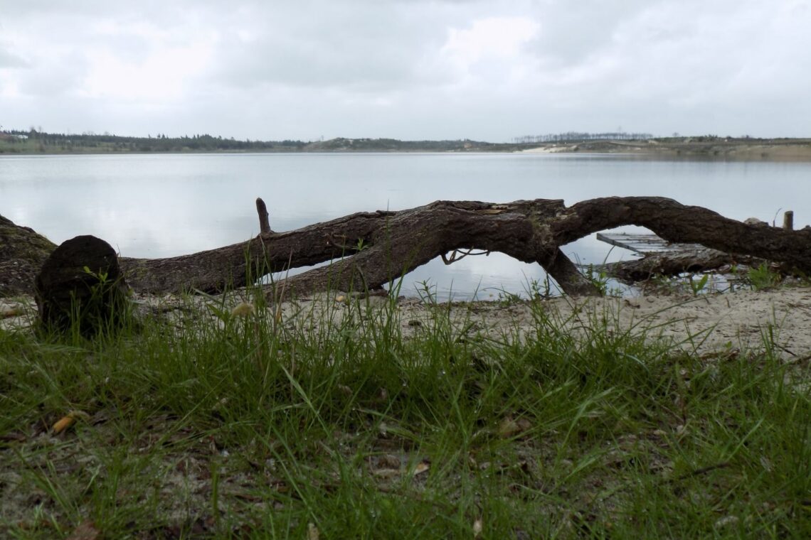 Lagoa da Ervedeira (Concelho de Leiria) Março de 2021