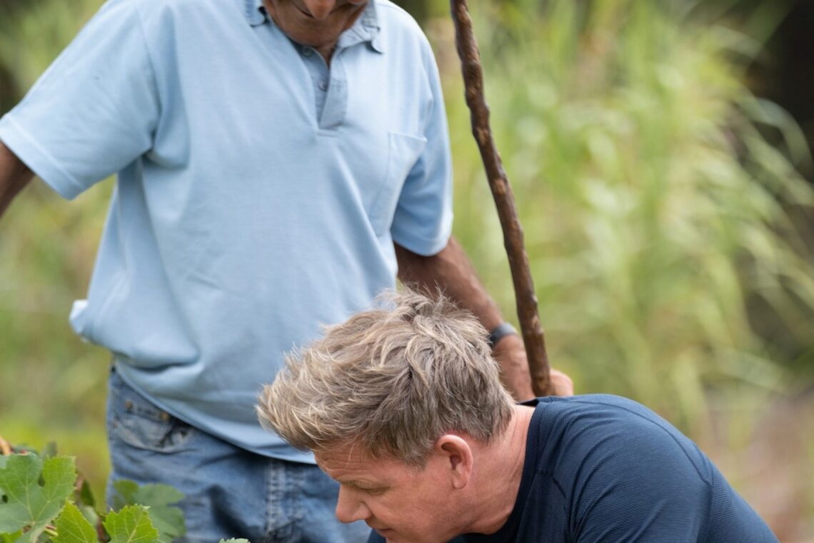 Gordon Ramsey embarcou e foi à procura de sardinha num barco de pesca da Nazaré