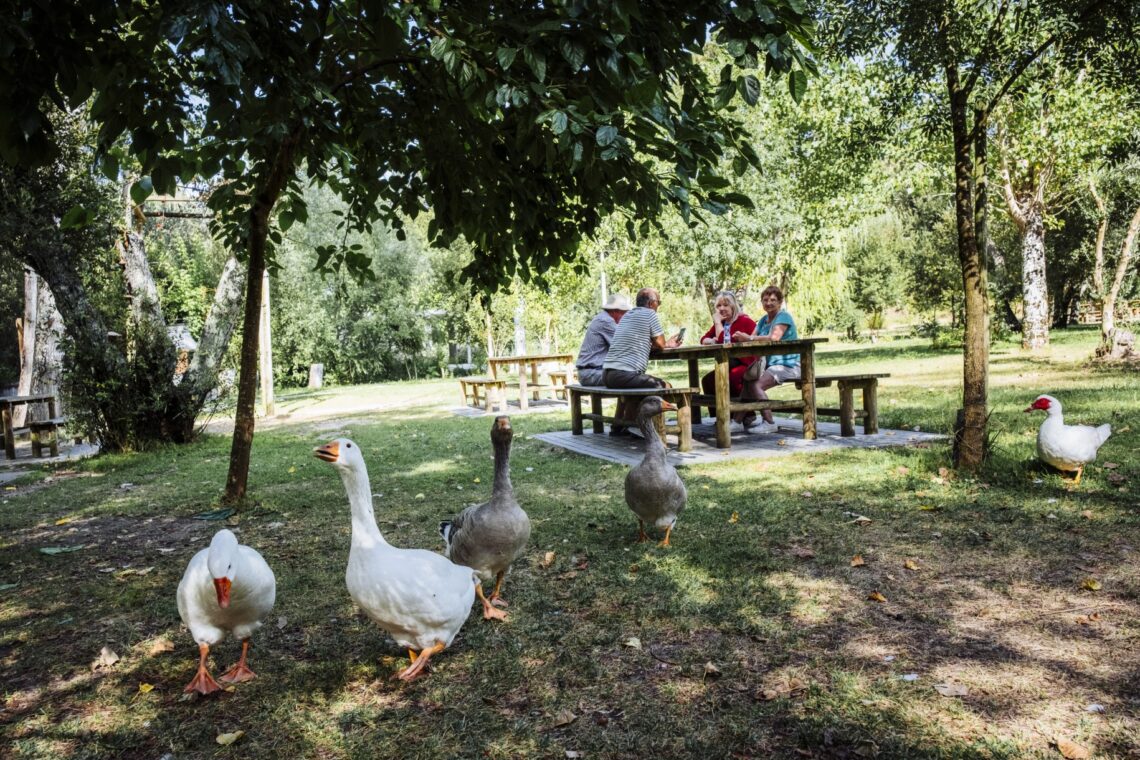 Parques de merendas são alternativa concorrida em dias quentes de Verão