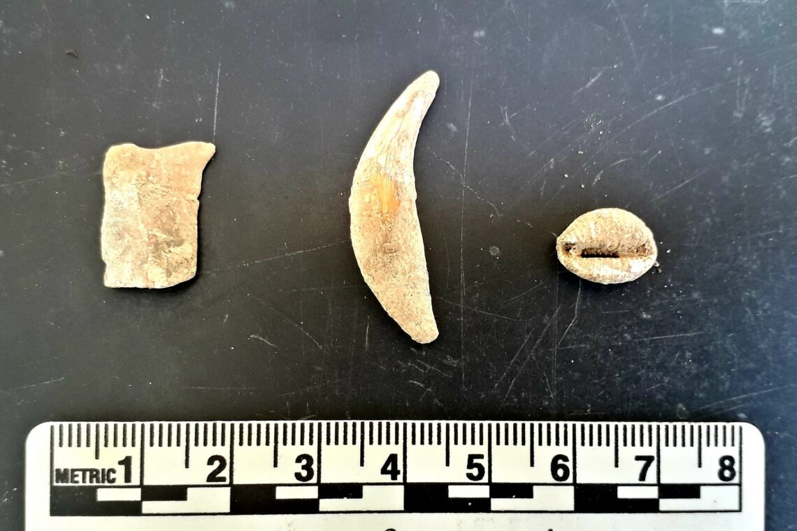 Lasca de sílex,  um dente canino de carnívoro e uma concha usada  como adorno