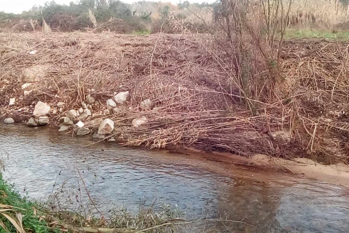 Amigos do Arunca denunciam deficientes operações de limpeza de margens do rio