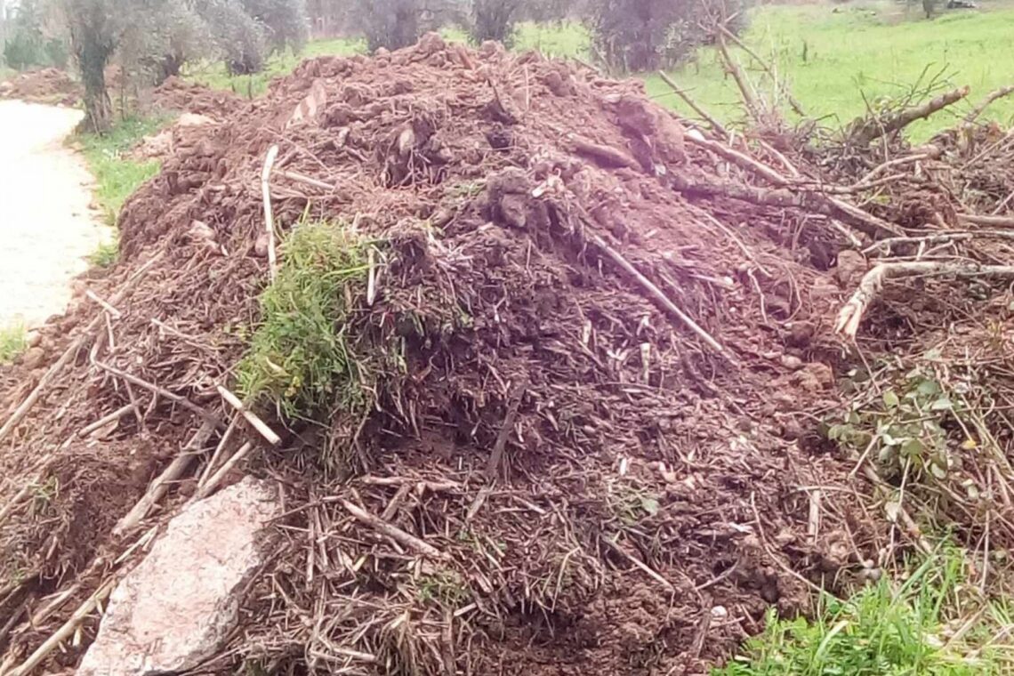 Amigos do Arunca denunciam deficientes operações de limpeza de margens do rio