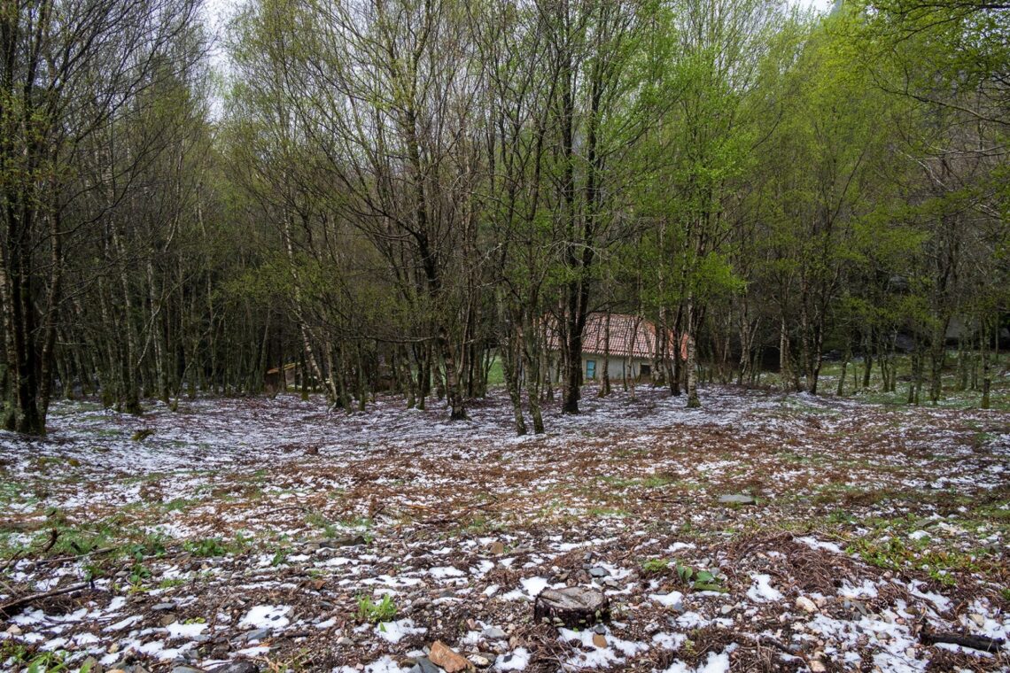 A chuva ditou o desaparecimento mais rápido da neve