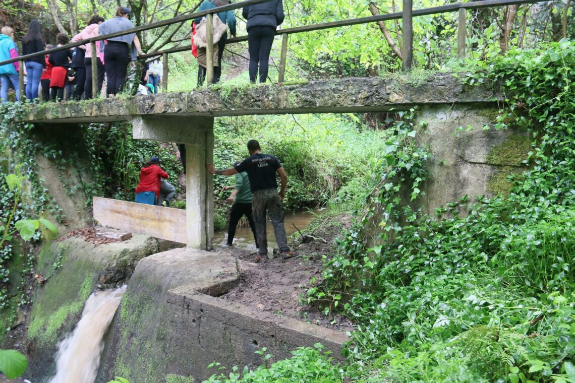 Conhecer e Viver a Protecção Civil