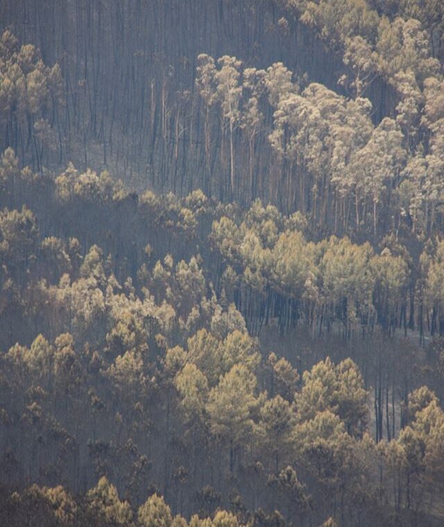 Fotografia: Peter Wilton-Davies
