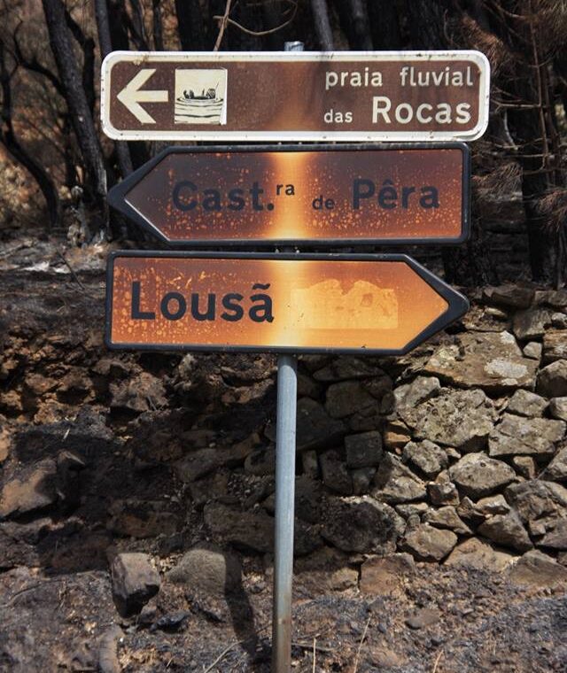 Fotografia: Peter Wilton-Davies