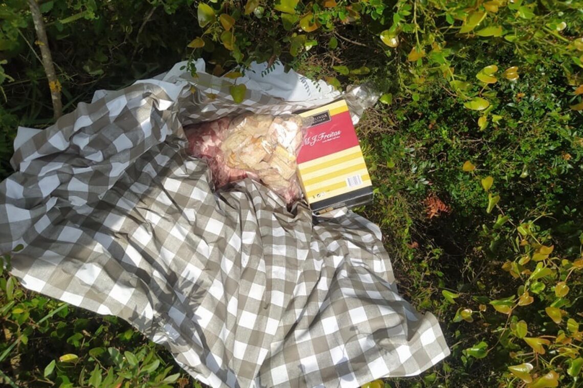 Carne ficou espalhada pelo campo