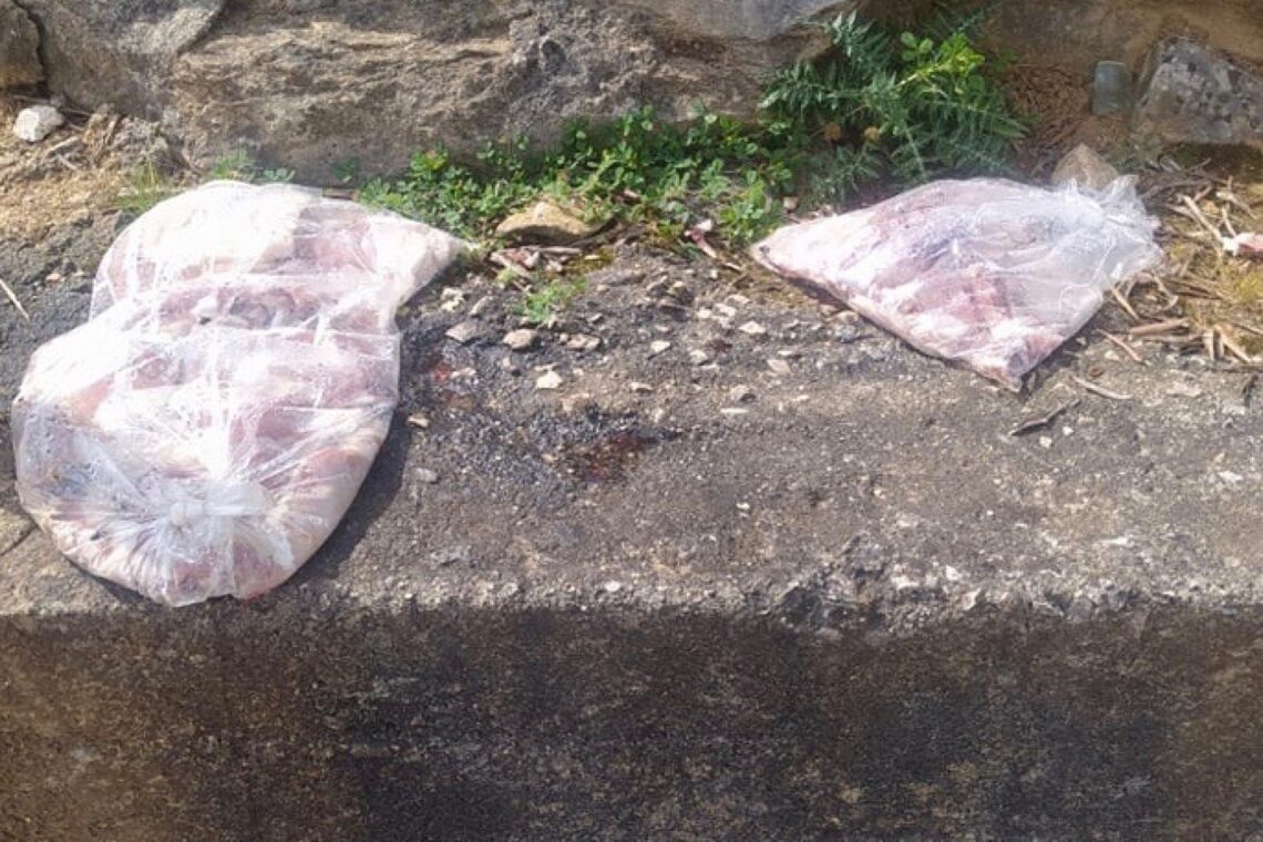 Carne ficou espalhada pelo campo