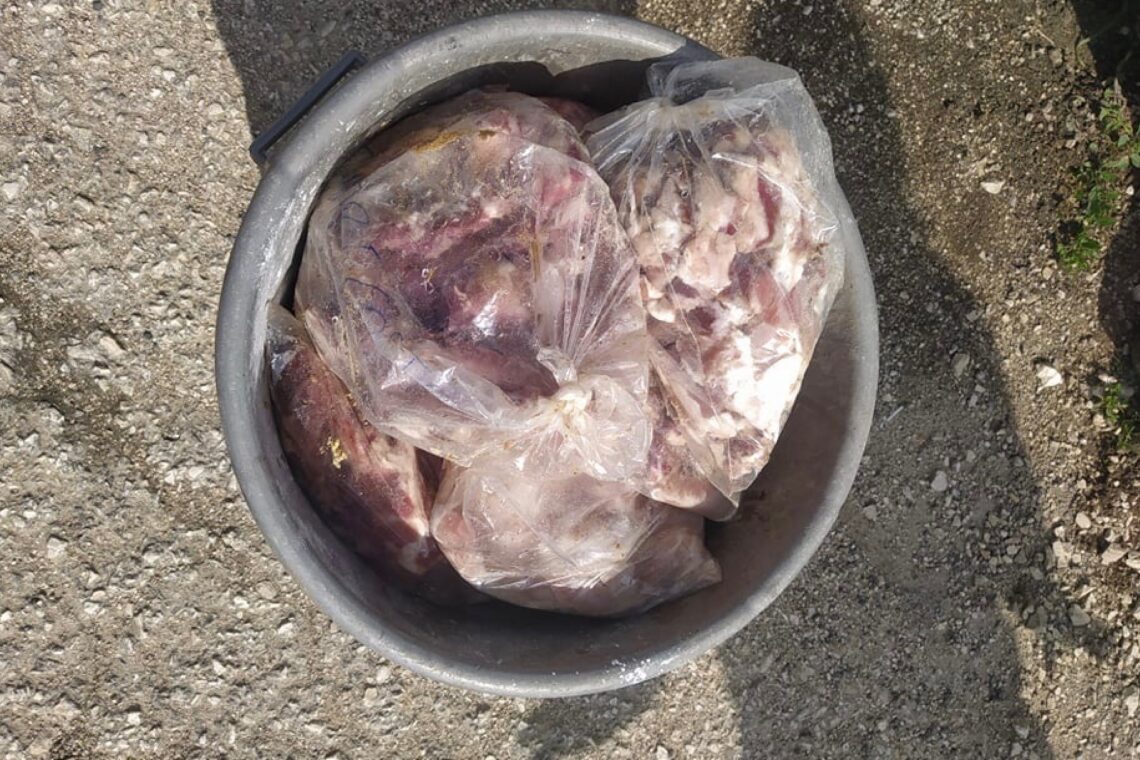 Carne ficou espalhada pelo campo