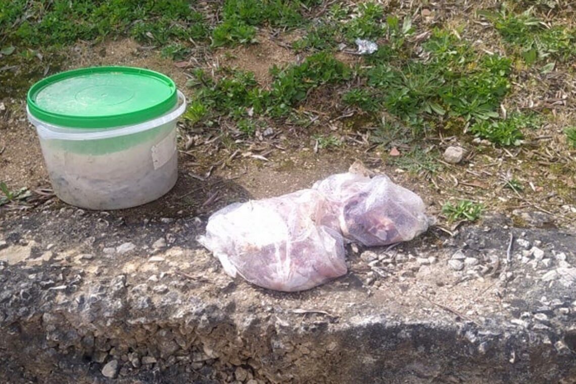 Carne ficou espalhada pelo campo