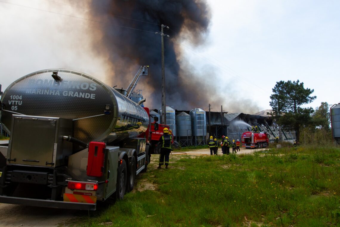 Fogo terá matado mais de 120 mil frangos