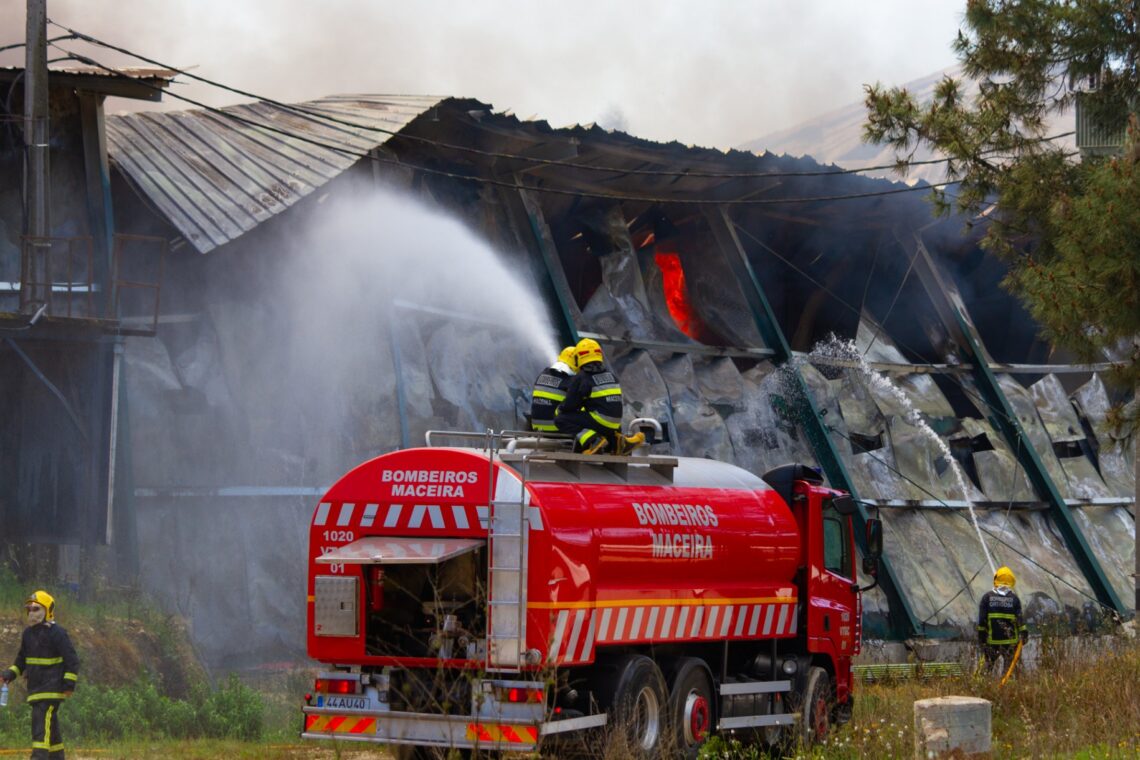 Fogo terá matado mais de 120 mil frangos