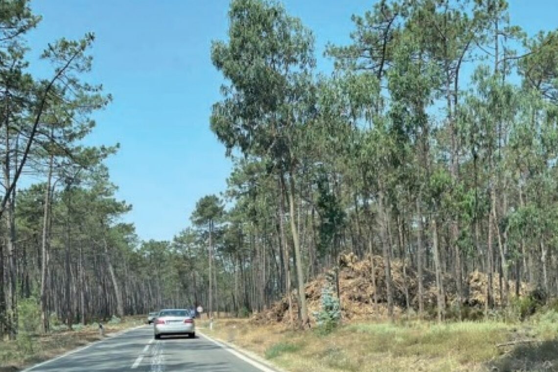 Dois casos flagrantes no concelho de Leiria, na freguesia dos Parceiros e na estrada que liga Monte Redondo ao Coimbrão