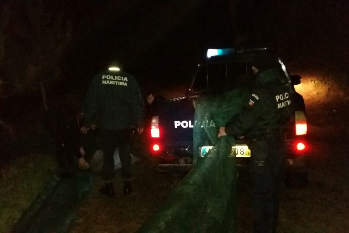 Apanhados na apanha ilegal de meixão no rio Lis